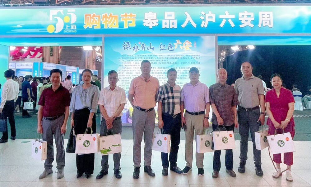 农民工服务站受邀参加“ 五五购物节·六安周 ” 舒城专场推介活动