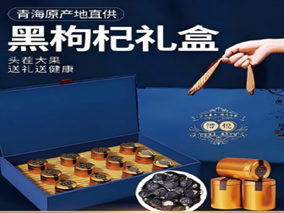 黑枸杞礼盒 228g（19克*12罐）